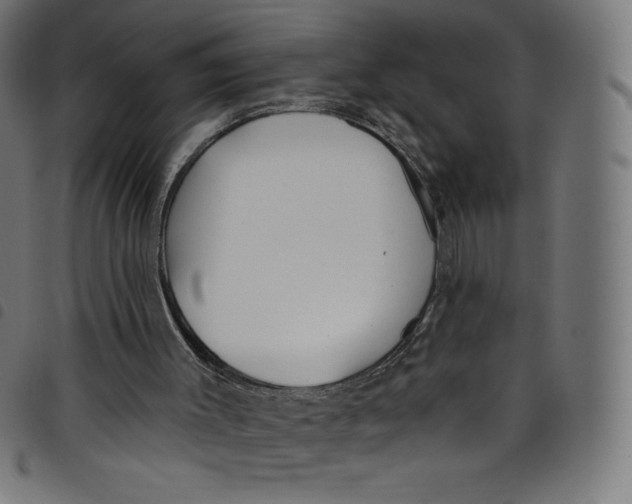 X0000098090003200804251306