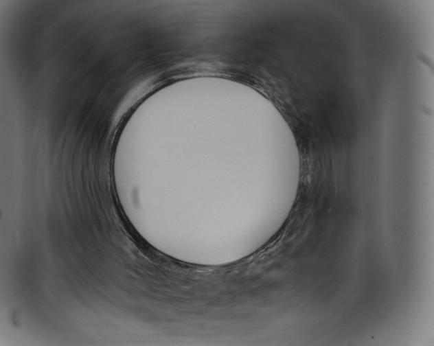 X0000098090004200804251306