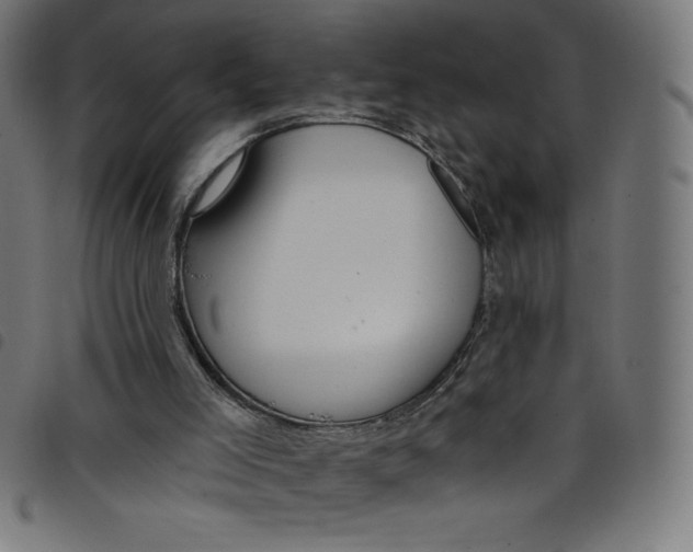 X0000098090005200804251306