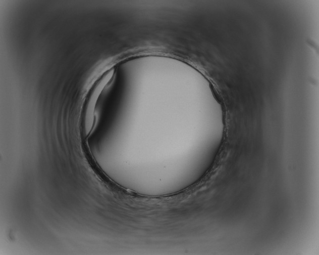 X0000098090007200804251306