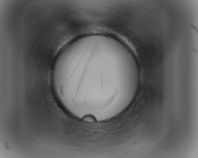 X0000098090010200804251306