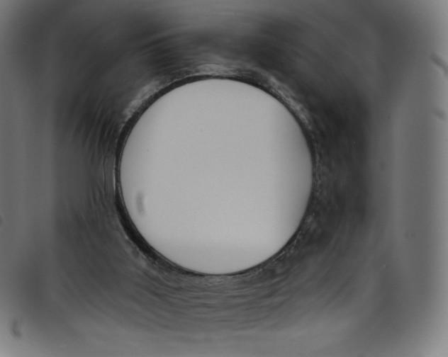 X0000098090011200804251306