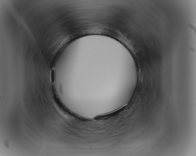 X0000098090013200804251306