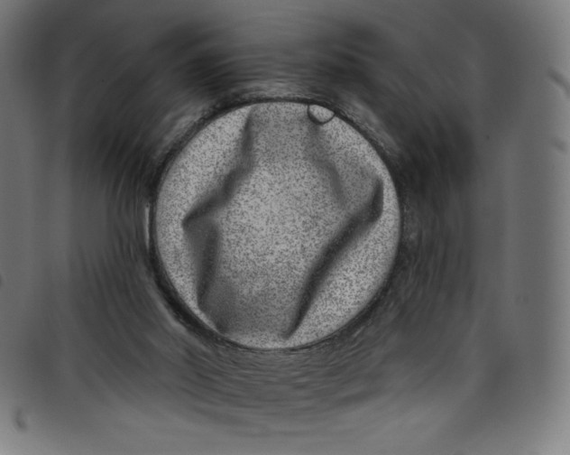 X0000098090014200804251306