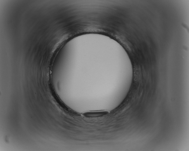 X0000098090015200804251306