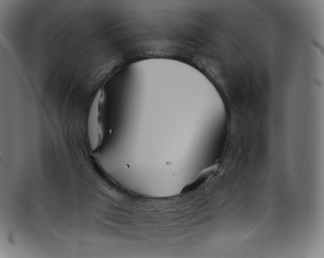 X0000098090017200804251306