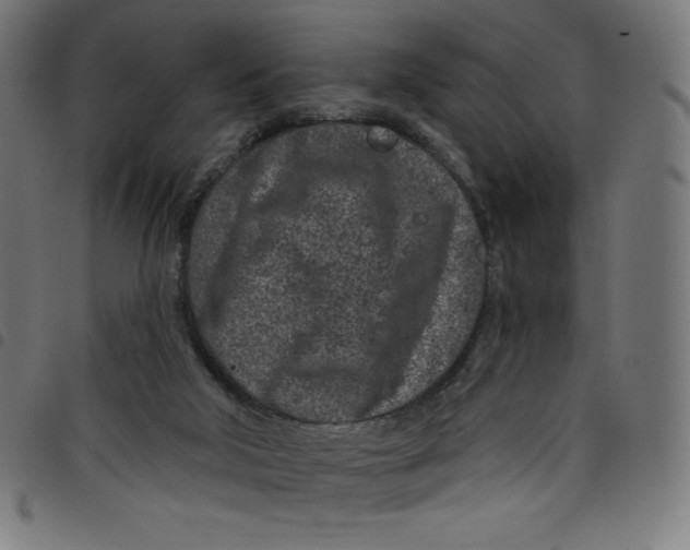 X0000098090018200804251305