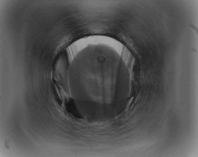 X0000098090019200804251305