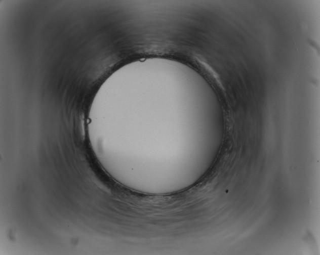 X0000098090020200804251305