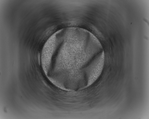 X0000098090022200804251305