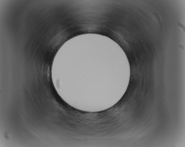 X0000098090024200804251305