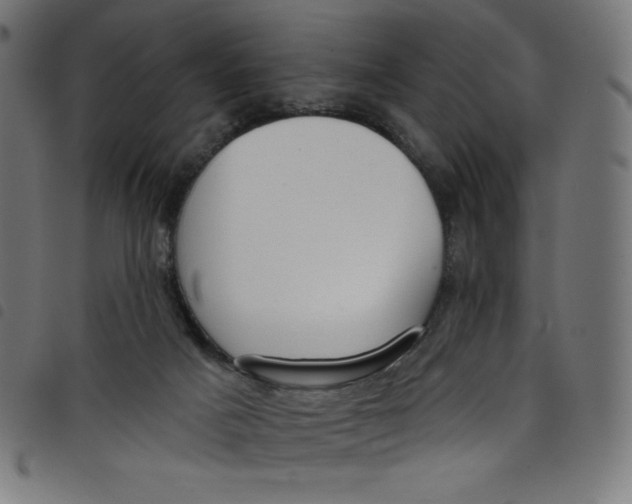 X0000098090025200804251305