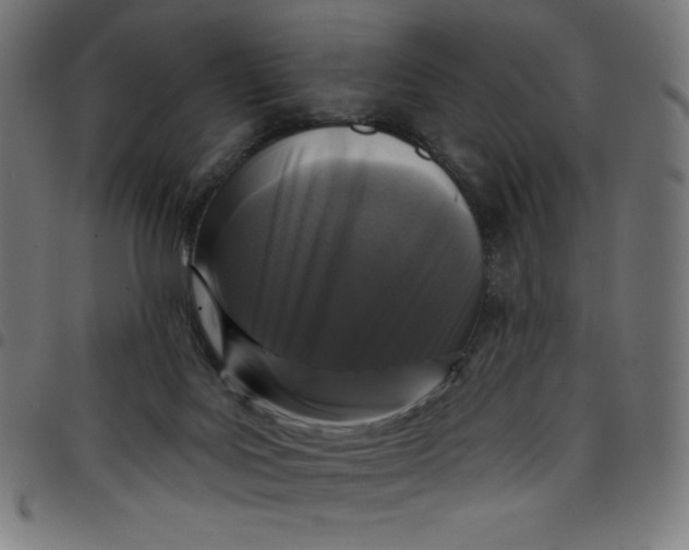 X0000098090027200804251305