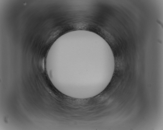 X0000098090028200804251305