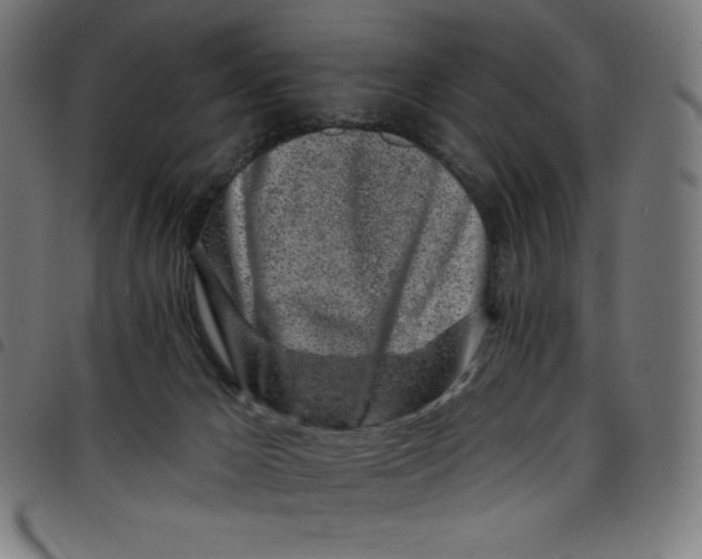 X0000098090029200804251305