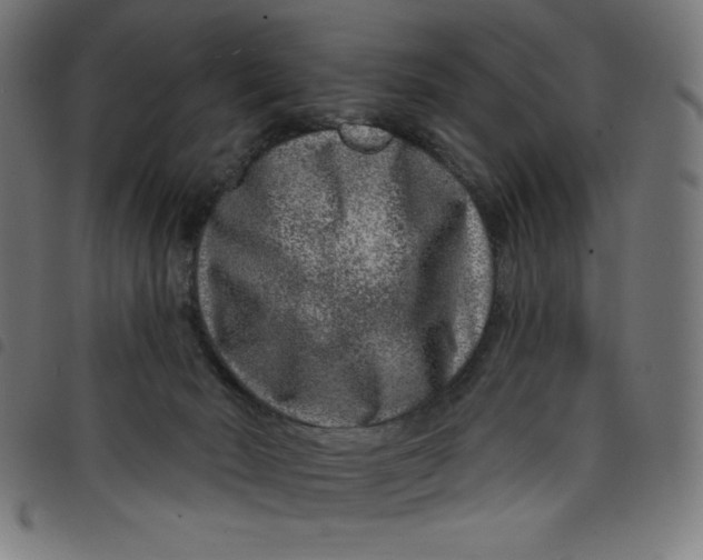 X0000098090030200804251305