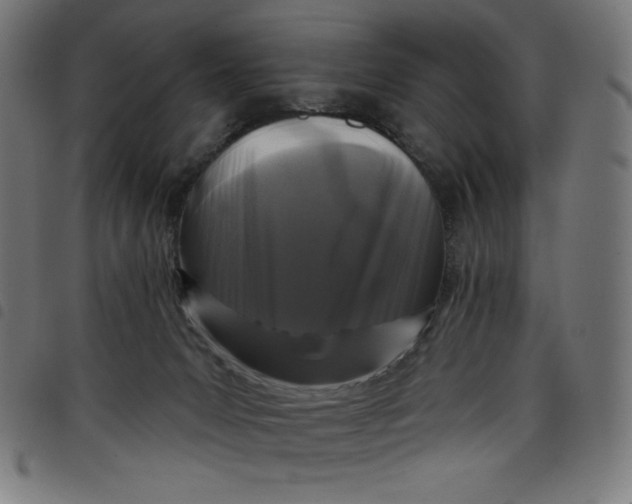 X0000098090031200804251305