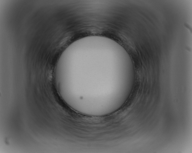 X0000098090032200804251305