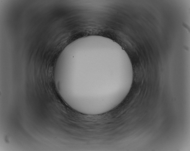 X0000098090034200804251305