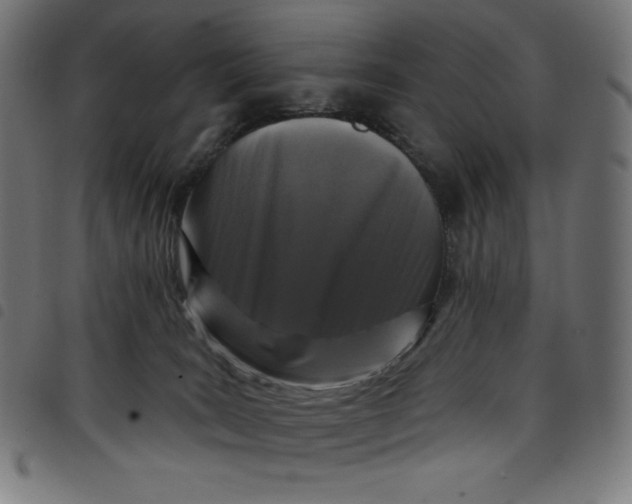 X0000098090035200804251305