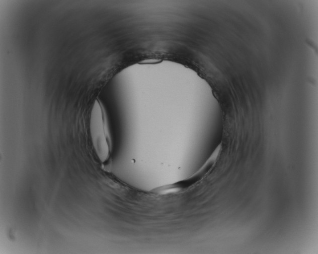 X0000098090037200804251305