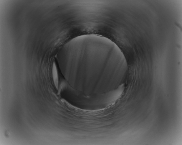 X0000098090039200804251305