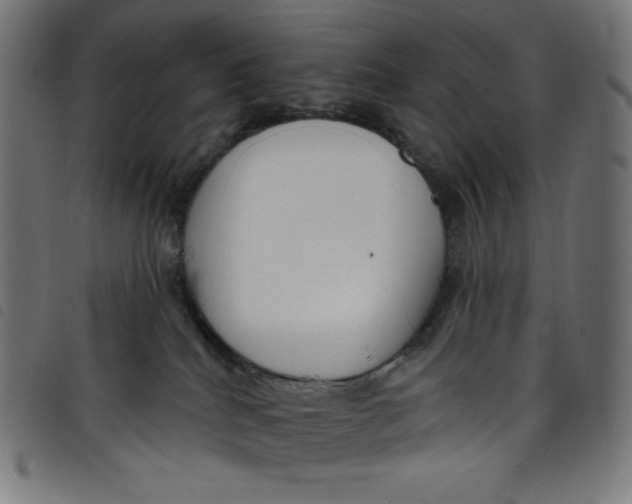 X0000098090040200804251305