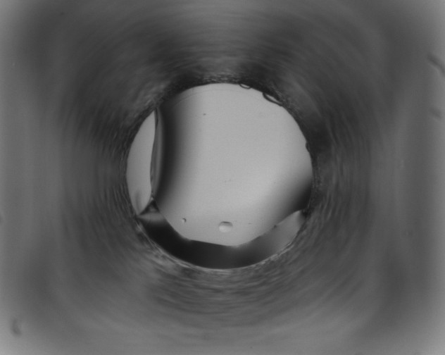 X0000098090041200804251305