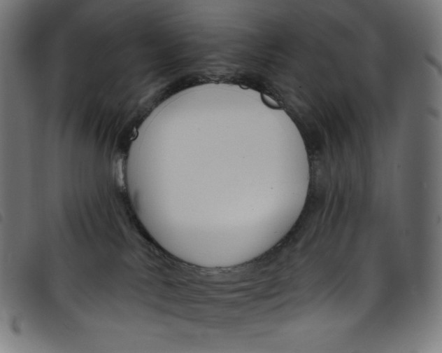 X0000098090042200804251305