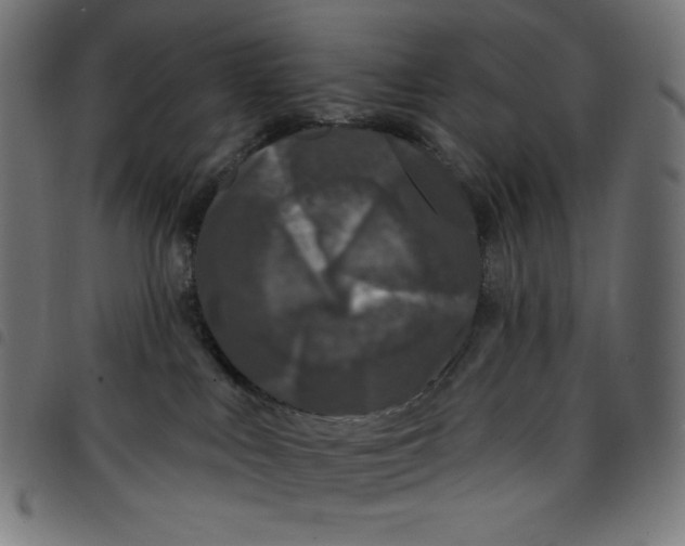 X0000098090043200804251305