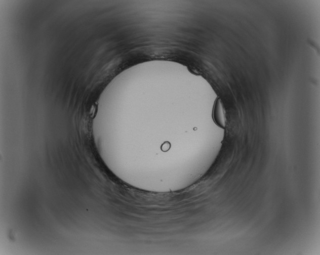 X0000098090044200804251305