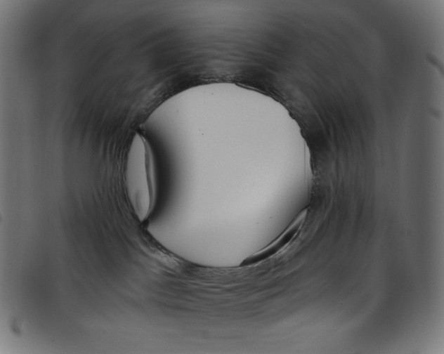 X0000098090045200804251305