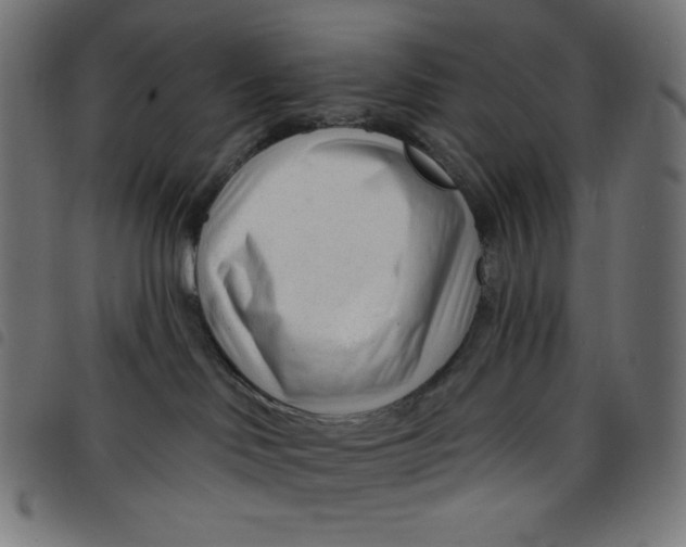 X0000098090046200804251305