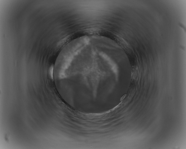 X0000098090047200804251305