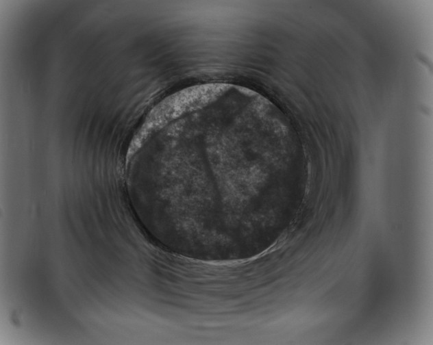 X0000098090048200804251305