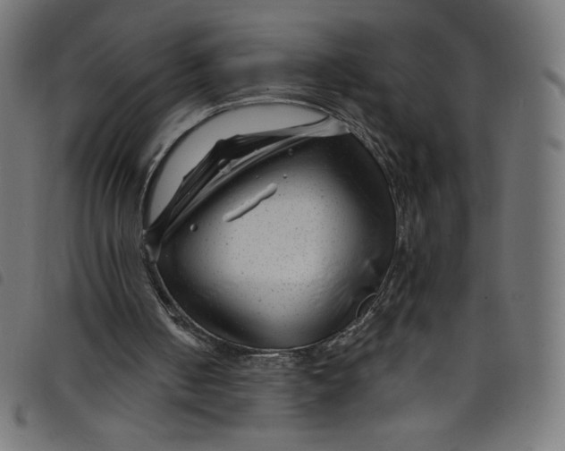 X0000098090050200804251304