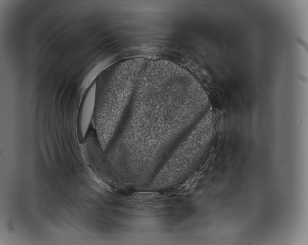 X0000098090051200804251304