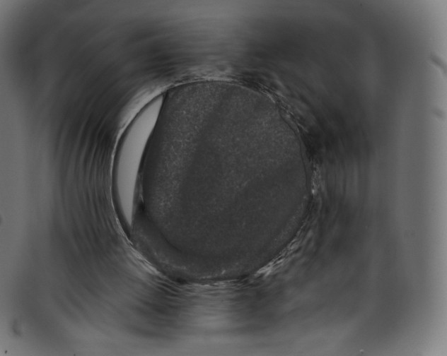 X0000098090052200804251304