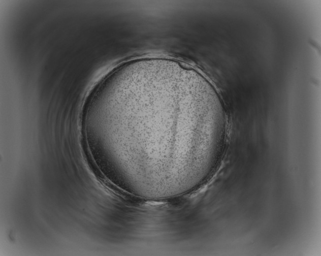 X0000098090055200804251304