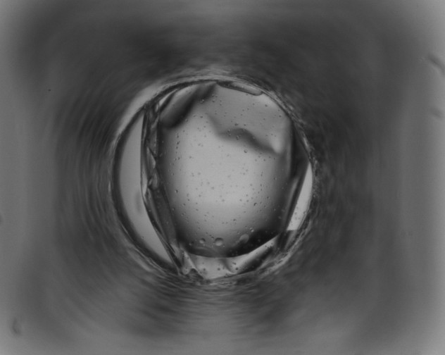 X0000098090056200804251304