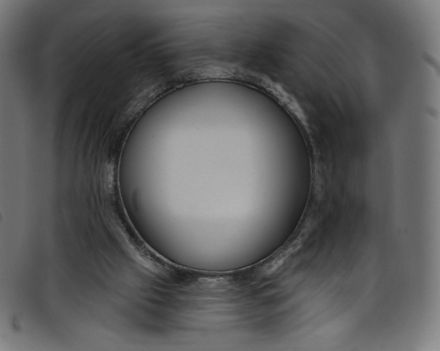 X0000098090057200804251304