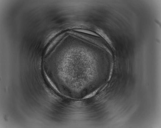 X0000098090058200804251304