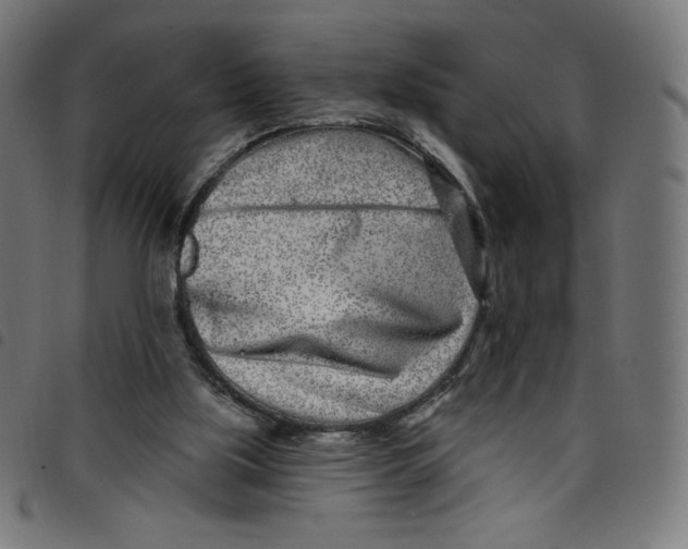 X0000098090059200804251304