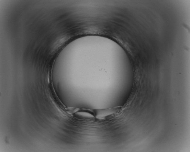 X0000098090062200804251304