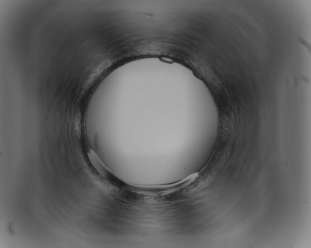 X0000098090064200804251304