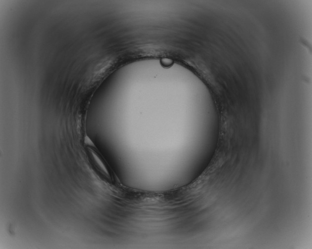 X0000098090066200804251304