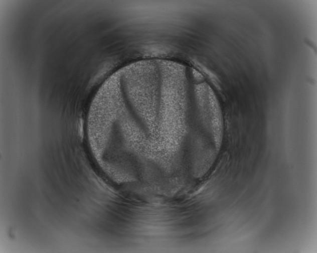 X0000098090067200804251305