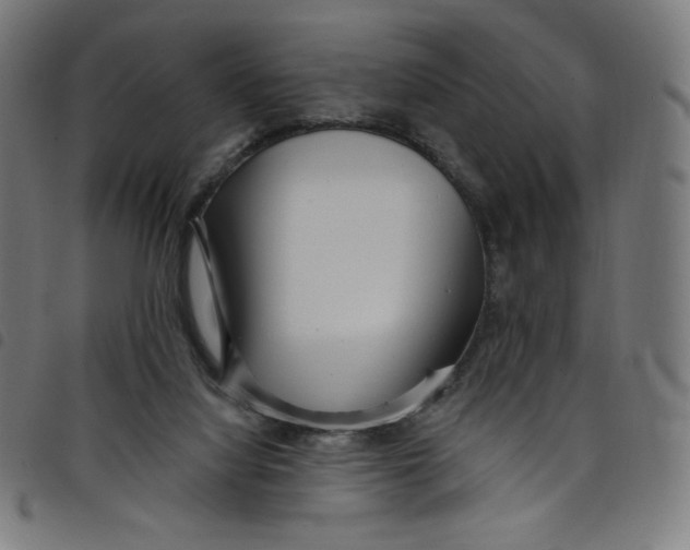 X0000098090068200804251305