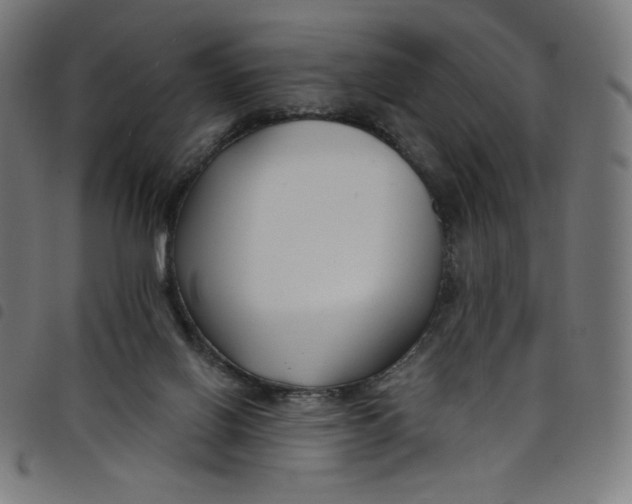 X0000098090070200804251305