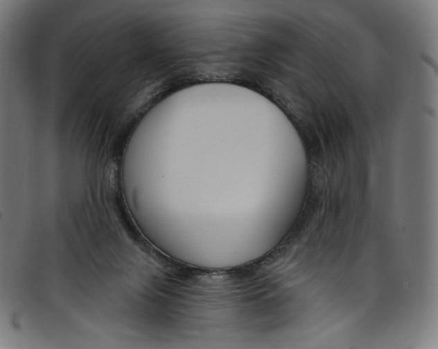 X0000098090071200804251305